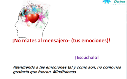 atencion-a-las-emociones-mindfulness