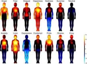 el mapa emocional del cuerpo