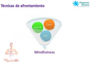 mindfulness-afrontando-estres-programadestres.com