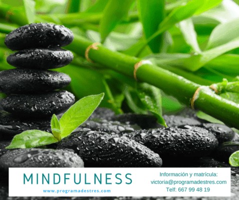 Mindfulness Sept 17-vigo
