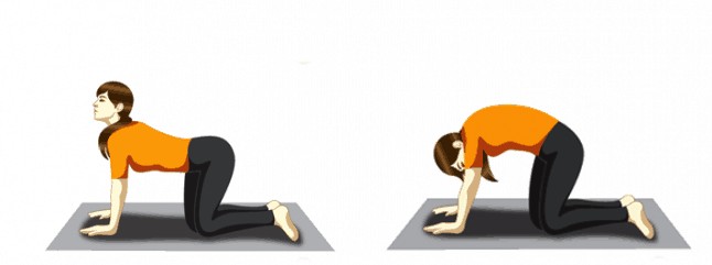 postura del gato- yoga