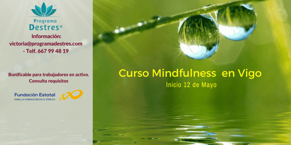 Curso Mindfulness para gestión de estrés - Mayo 18 - 14 Edición en Vigo