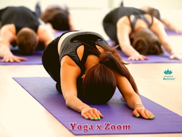 yoga x zoom