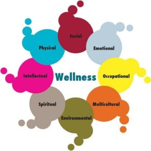 wellness programa destres