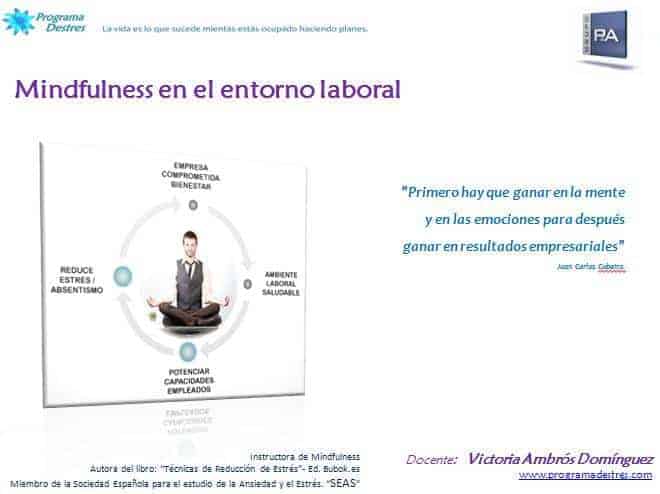 Mindfulness-Grupo P&A Consultores-ProgramaDestres
