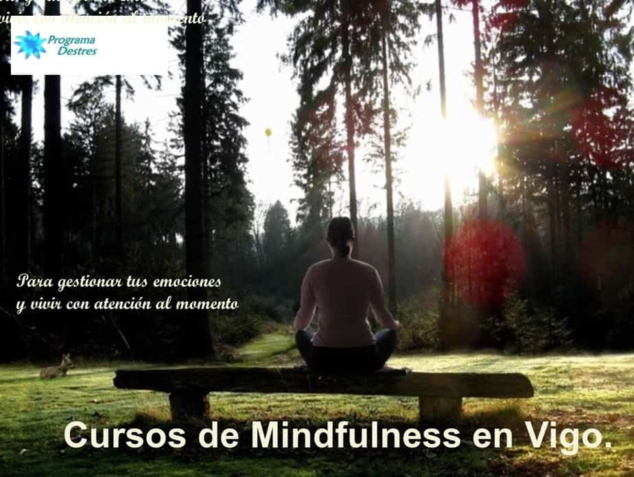 Mindfulness en Vigo programadestres