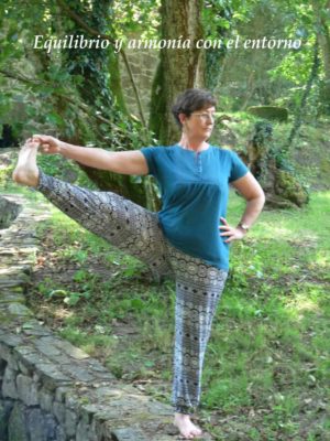 Equilibrio-armonia-entorno 