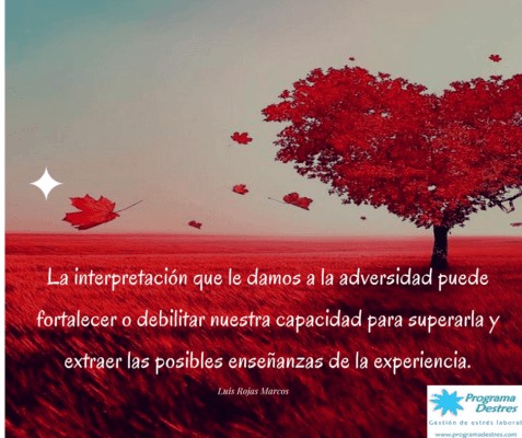 La interpretación de la adversidad