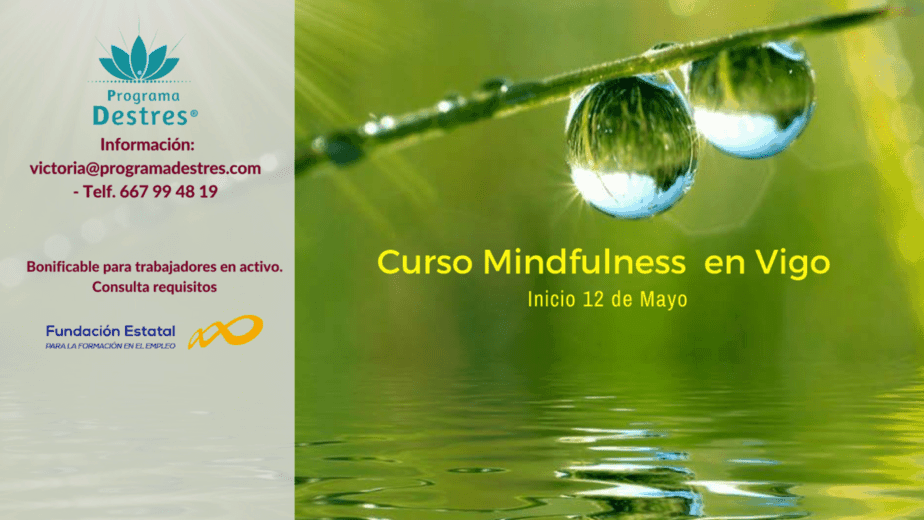 Curso Mindfulness en Vigo - Mayo 18