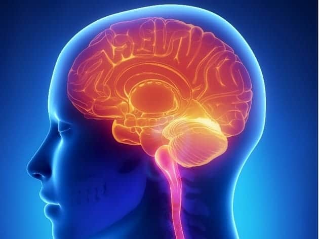 hemisferios cerebrales afectados por estrés
