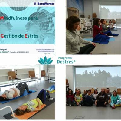 Grupo BorgWarner en el curso de mindfulness