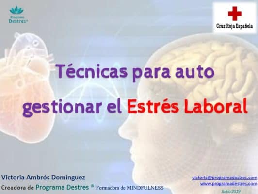 curso de auto gestión de estrés para trabajadores de Cruz Roja en Vigo y Pontevedra