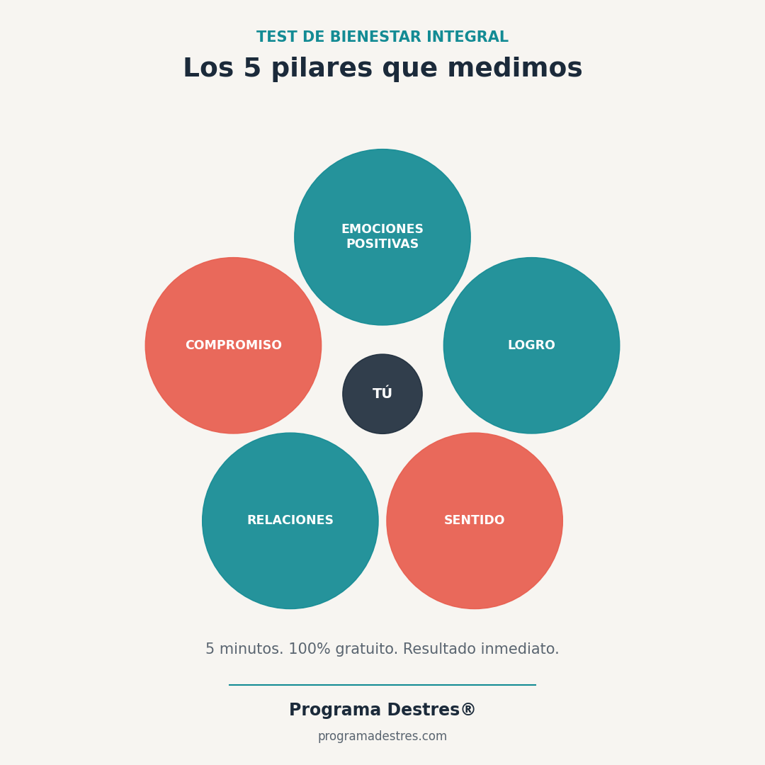 Bienestar de 5 facetas