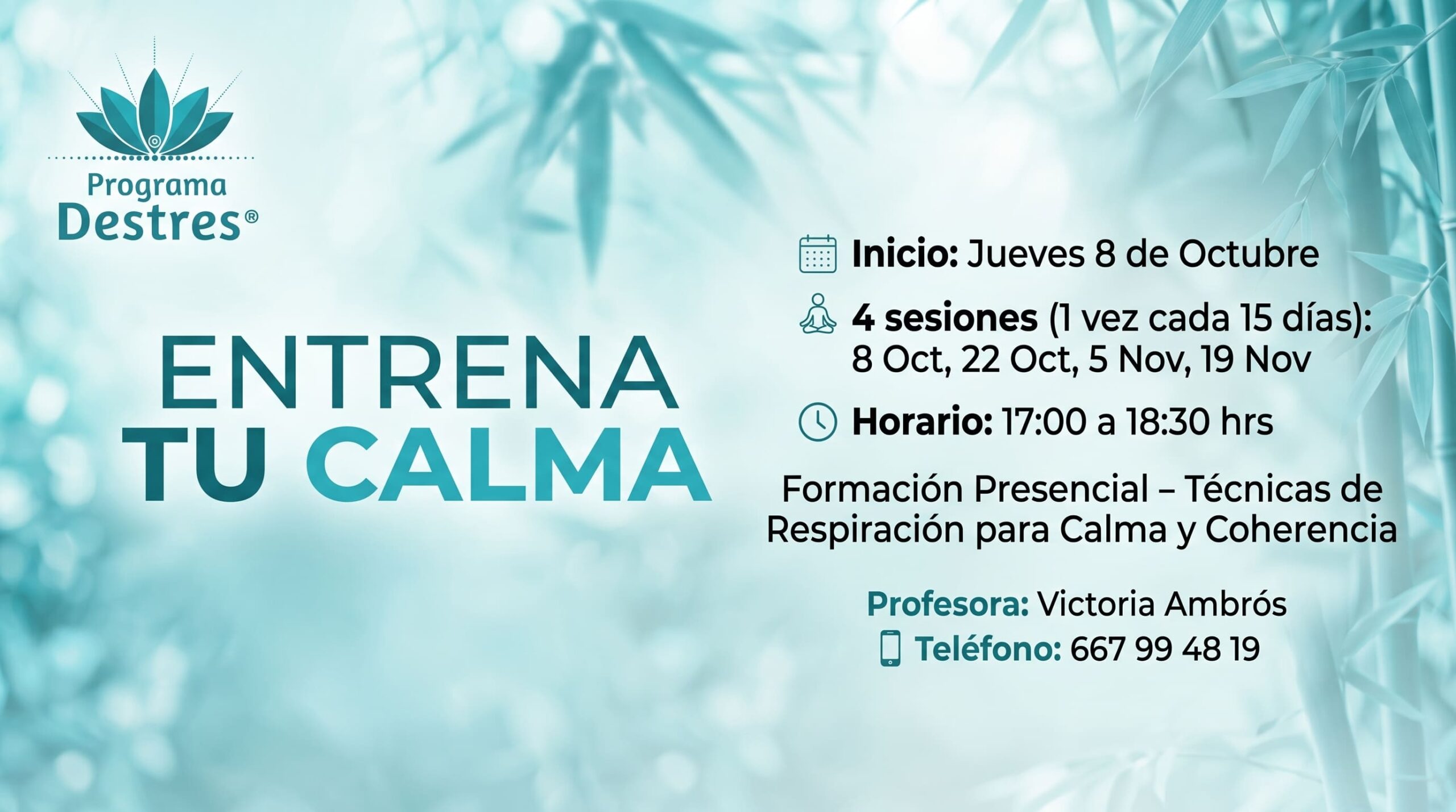 Curso de Respiración Consciente- ¿Sabías que la forma en que respiras influye directamente en tu capacidad de mantener la calma?
La buena noticia es que la respiración se puede entrenar. No es un talento con el que naces ni algo que dependa del azar: es una habilidad, y como toda habilidad, mejora con la práctica adecuada.
Por eso nace este curso: un espacio para aprender a respirar de forma que tu cuerpo y tu mente encuentren, de manera natural, un estado de calma y bienestar, incluso en los momentos de mayor tensión.